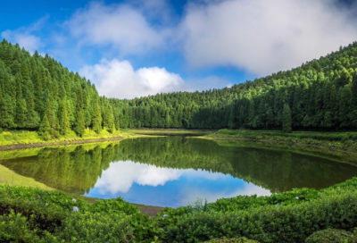 ​小学三年级上册语文教学计划