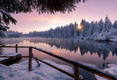 ​五年级语文下册教学计划