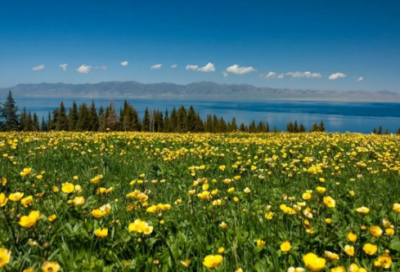 ​一年级下册语文教学计划