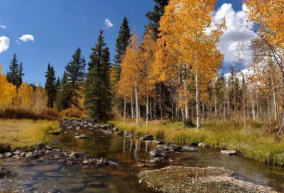 ​三年级语文教学计划