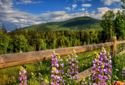 ​六年级数学下册教学计划