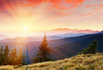 ​小学数学教学反思