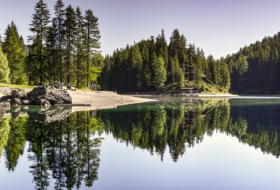 ​社戏教学反思