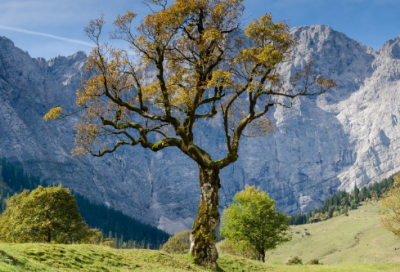 ​散步的教学反思