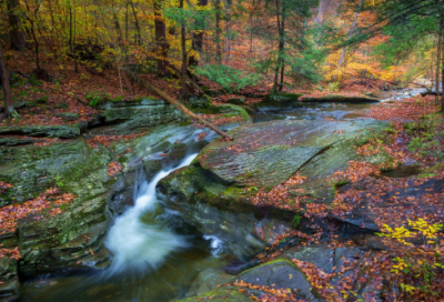 ​小学书法组社团教学计划