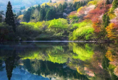 ​初中体育教学反思