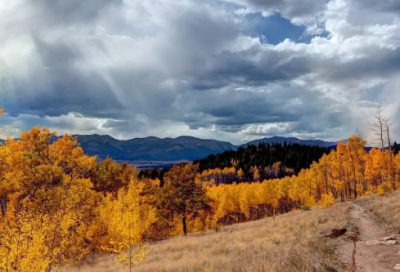 ​分数与除法教学反思