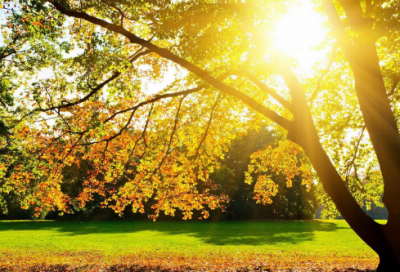 ​草虫的村落教学反思