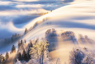 ​《江南》教学反思