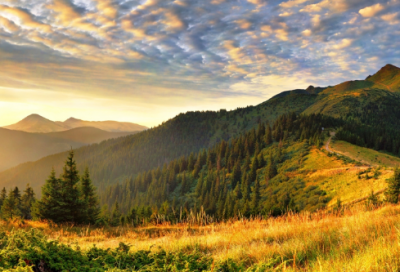 ​雨点儿教学反思