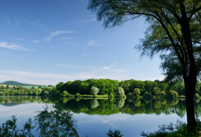 ​《四个太阳》教学反思