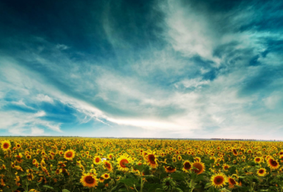 ​初三英语教学计划