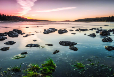 ​《绝招》教学反思