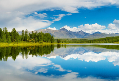 ​一年级语文下册教学反思