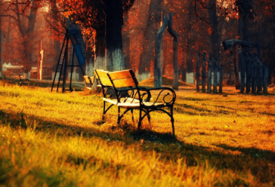 ​画杨桃教学反思