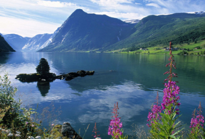 ​5的乘法口诀教学反思