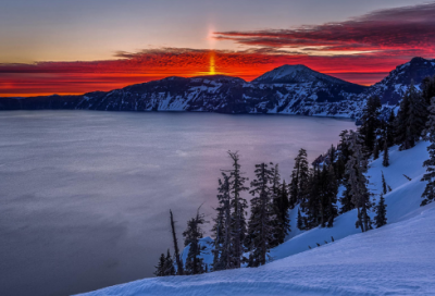 ​《猫》教学反思