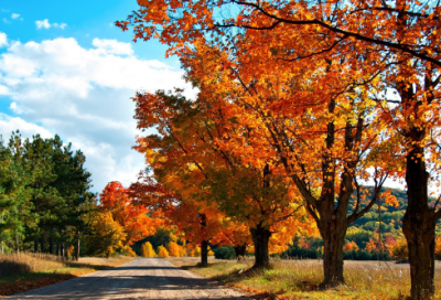 ​英语教学反思