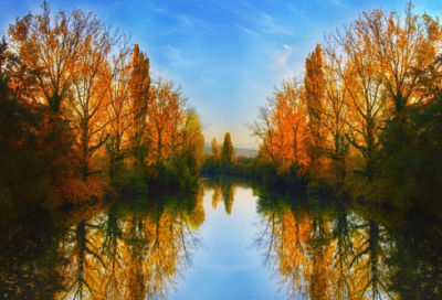 ​《小蜗牛》教学反思