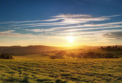 ​平均数教学反思