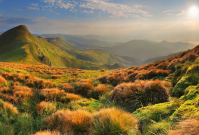 ​《螳螂捕蝉》教学反思
