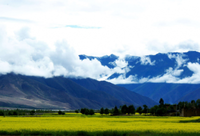 ​梦想的力量教学反思