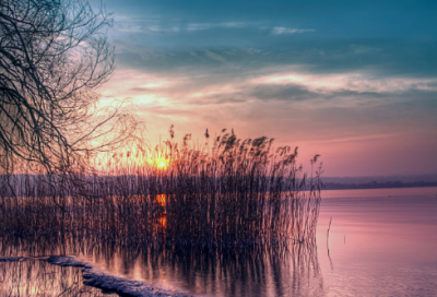 ​《颐和园》教学反思