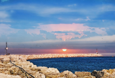 ​刷子李教学反思