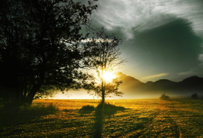 ​《山雨》教学反思