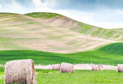 ​乌塔教学反思