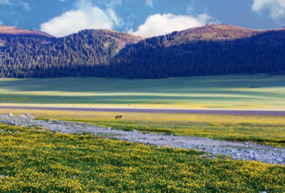 ​初中生物教学反思