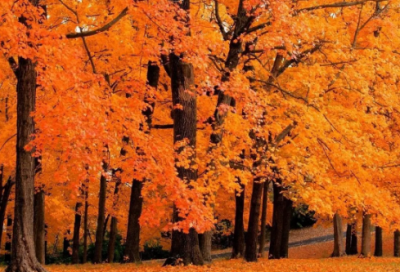 ​金钱的魔力教学反思