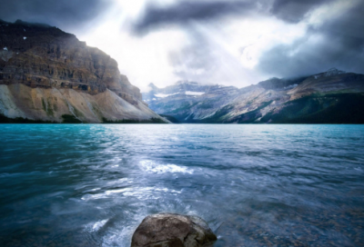 ​荷花教学反思