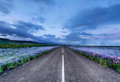 ​藏戏教学反思