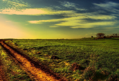 ​校本研修教学反思