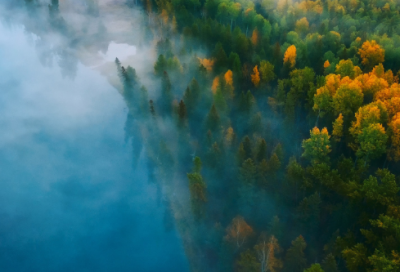 ​一年级上册道德与法治教学计划