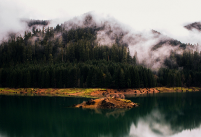 ​小学音乐教学计划