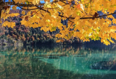 ​小学一年级上册数学教学计划