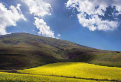 ​《孙权劝学》语文教学反思