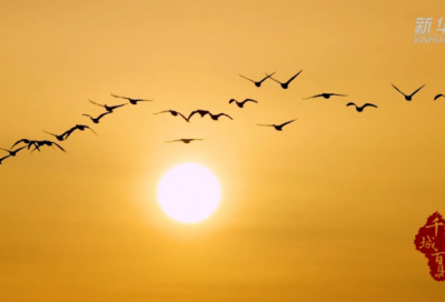 ​八年级地理下册教学计划