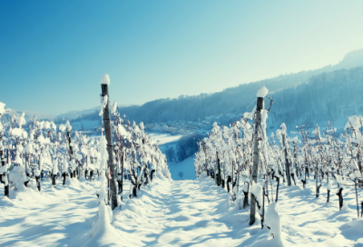 ​正比例教学反思