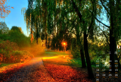 ​《生命生命》的教学反思