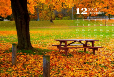 ​数与形教学反思