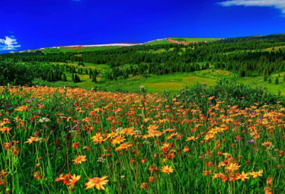 ​小学教学反思