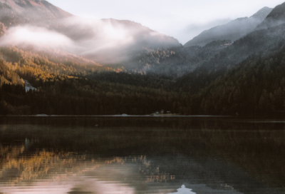 ​《鹿和狼的故事》教学反思