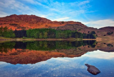 ​教学dtnl教学反思