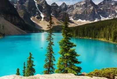 ​自行车里的数学教学反思