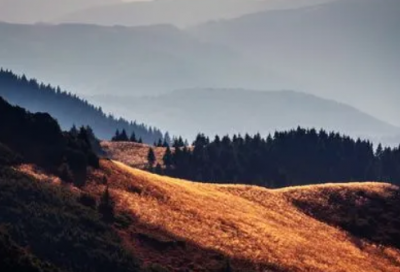 ​《杨氏之子》教学反思