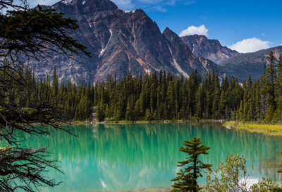 ​三年级体育教学计划