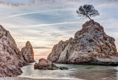 ​中班教学计划